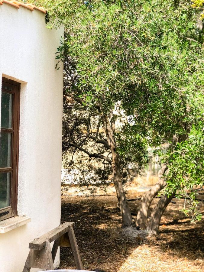 Koutsini Villa Pano Akourdalia