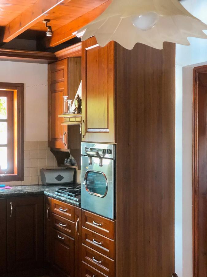 Koutsini Villa Pano Akourdalia